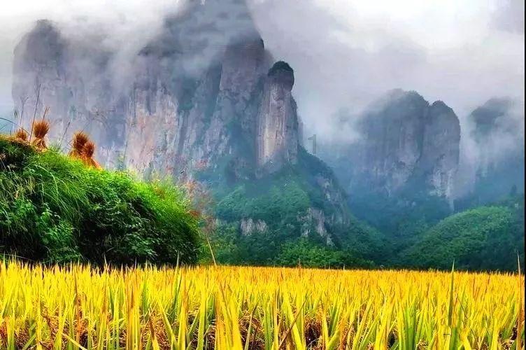 复活节记忆卡